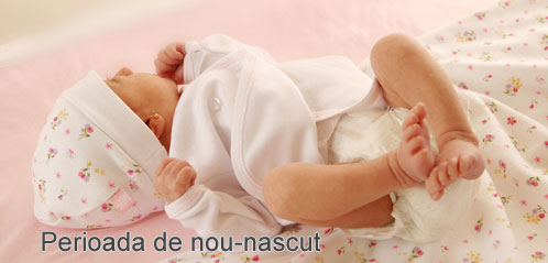 Perioada de nou-nascut